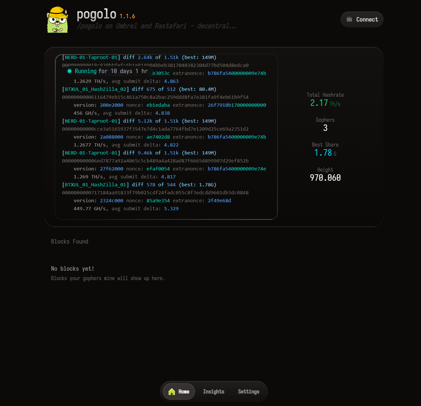 pogolo 1.1.6 dashboard with worker logs and mining statistics
